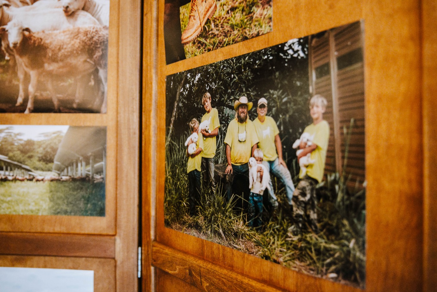 Wooden panels with printed farm photos, including sheep and a group of people in yellow T-shirts
