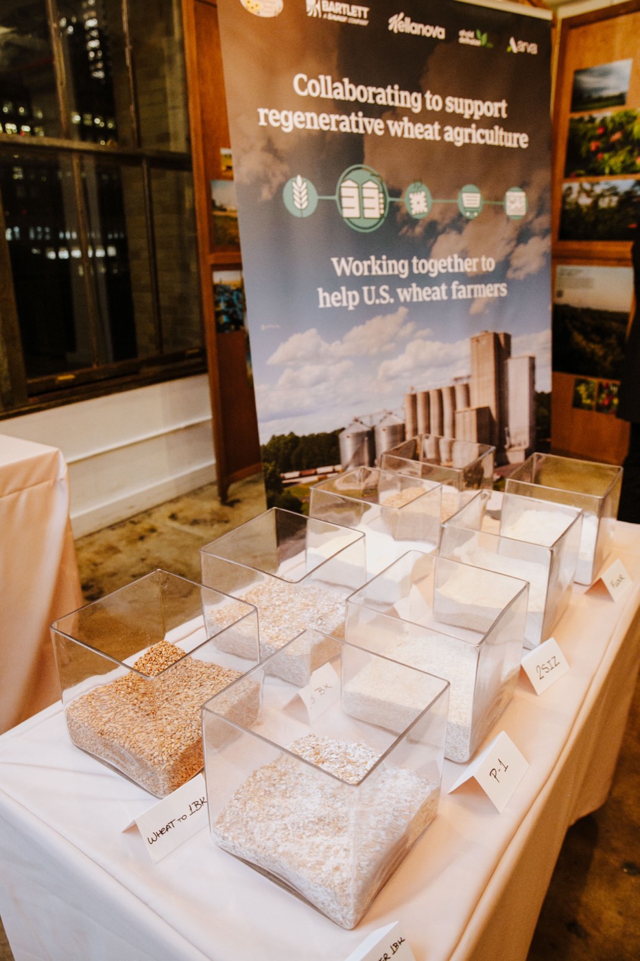 Table with acrylic boxes holding grain and flour samples in front of a banner about regenerative wheat agriculture